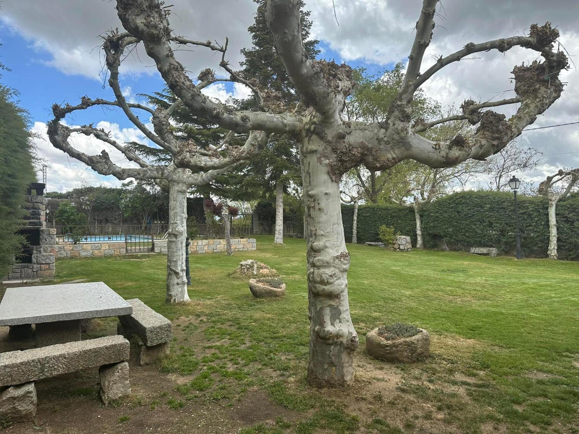 Cordel Pension La Serrada Buitenkant foto